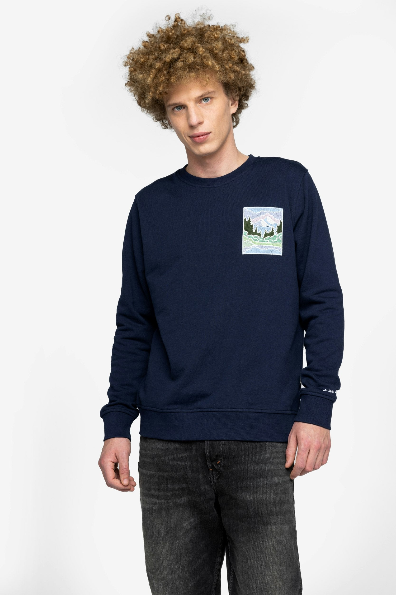 Sweatshirt Bob Ross Painting Emb