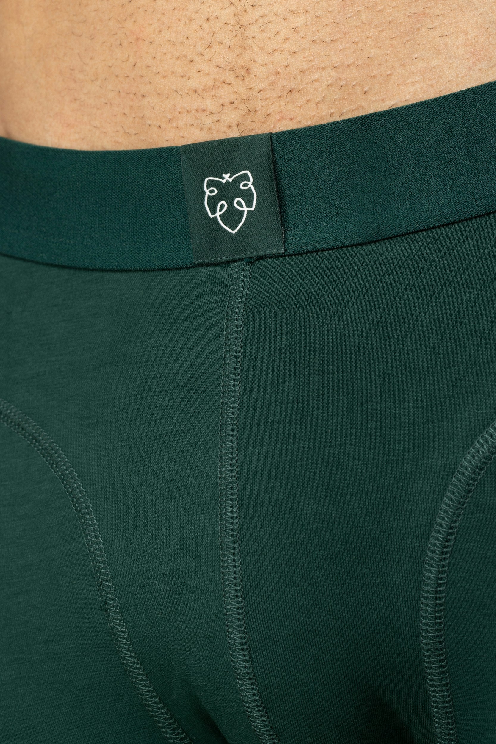 ACE Boxer shorts 5P Green