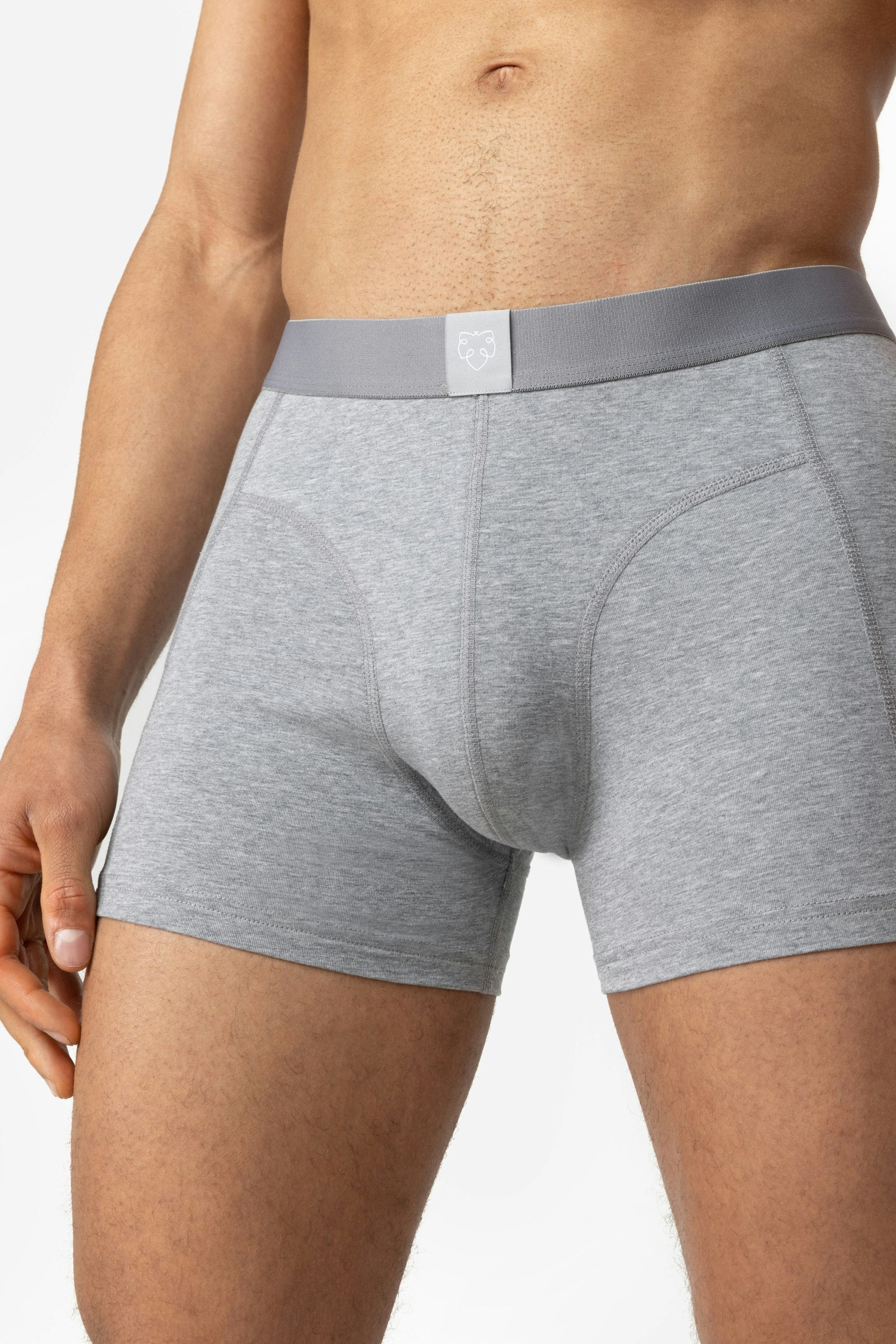 ACE Boxer shorts 5P Grey