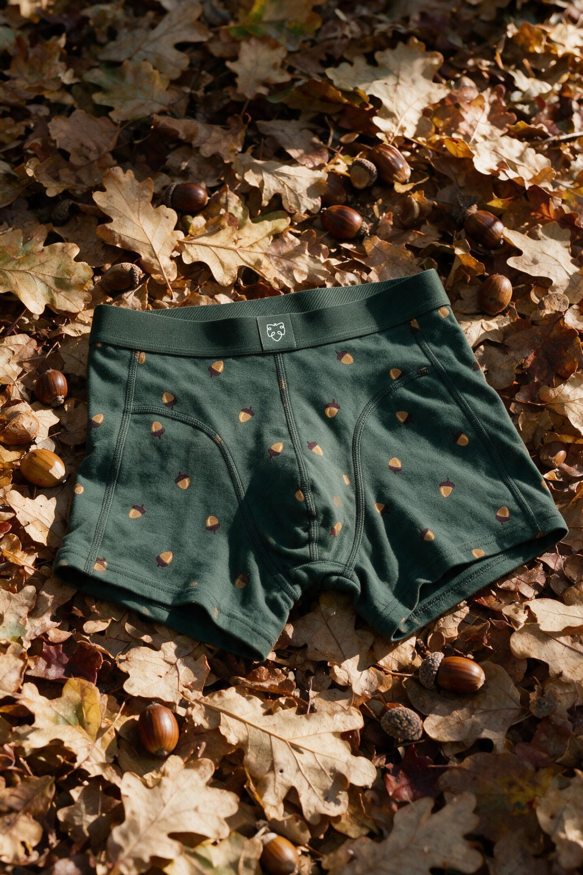 ACE Boxer shorts Dark Green Acorn