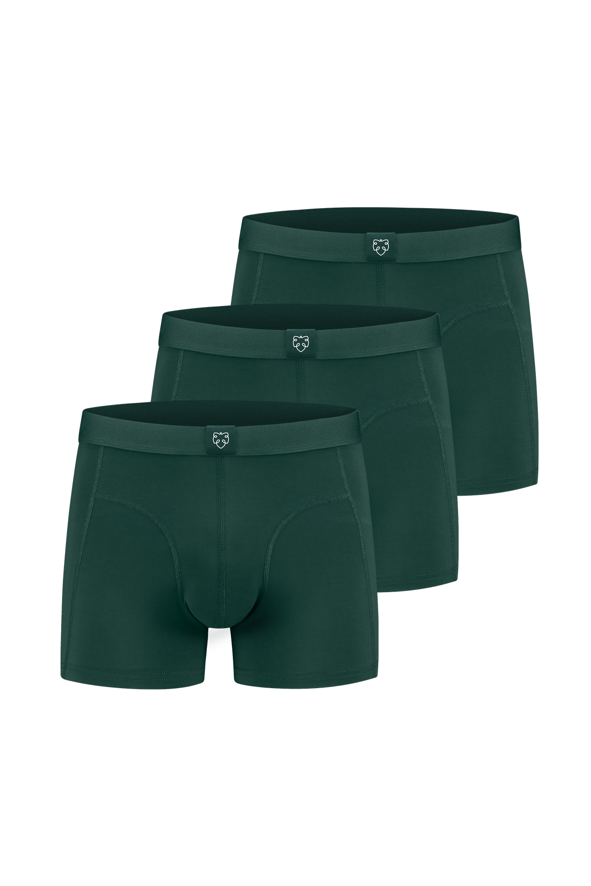 Boxer ACE 3P Vert