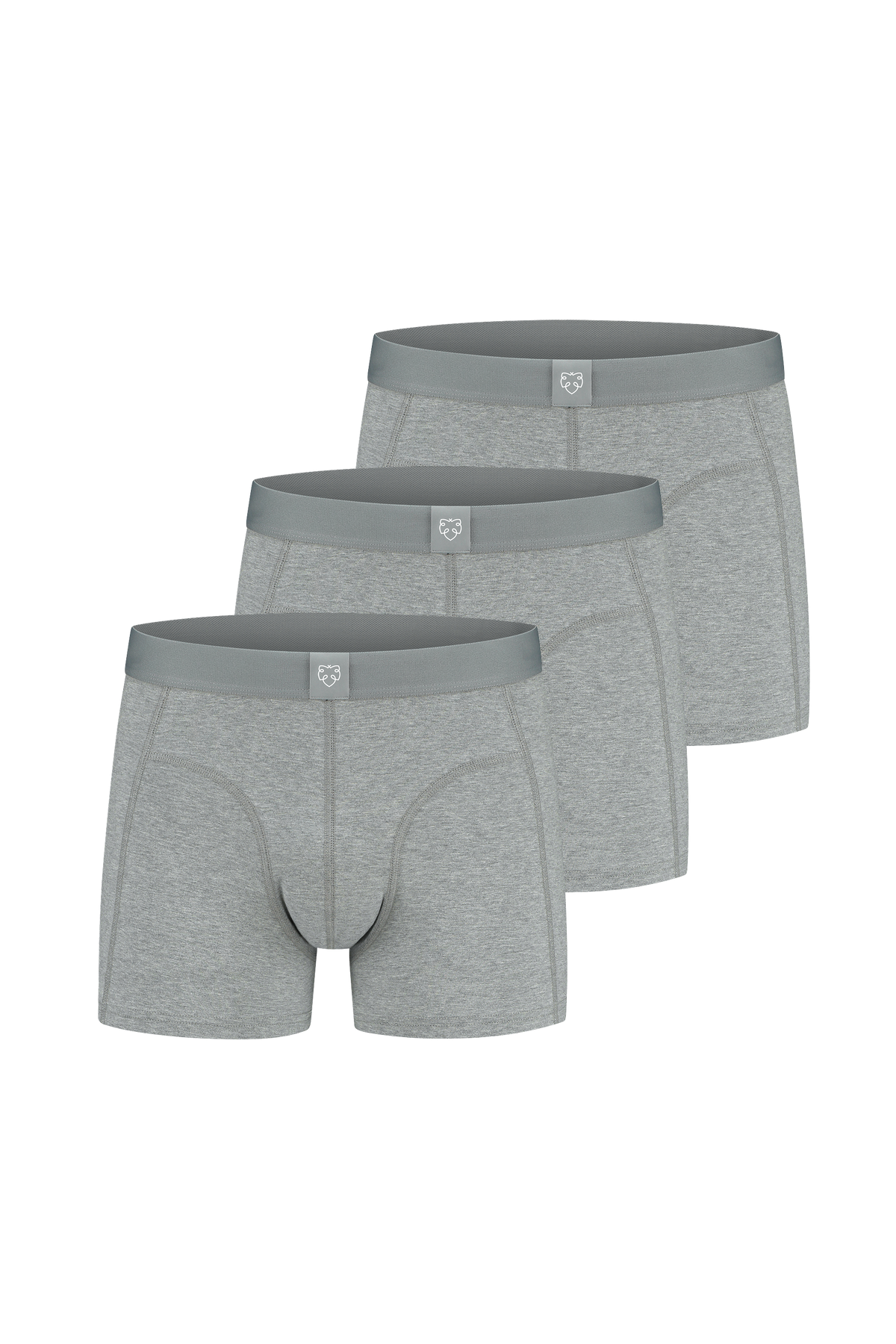 Boxer ACE 3P Gris