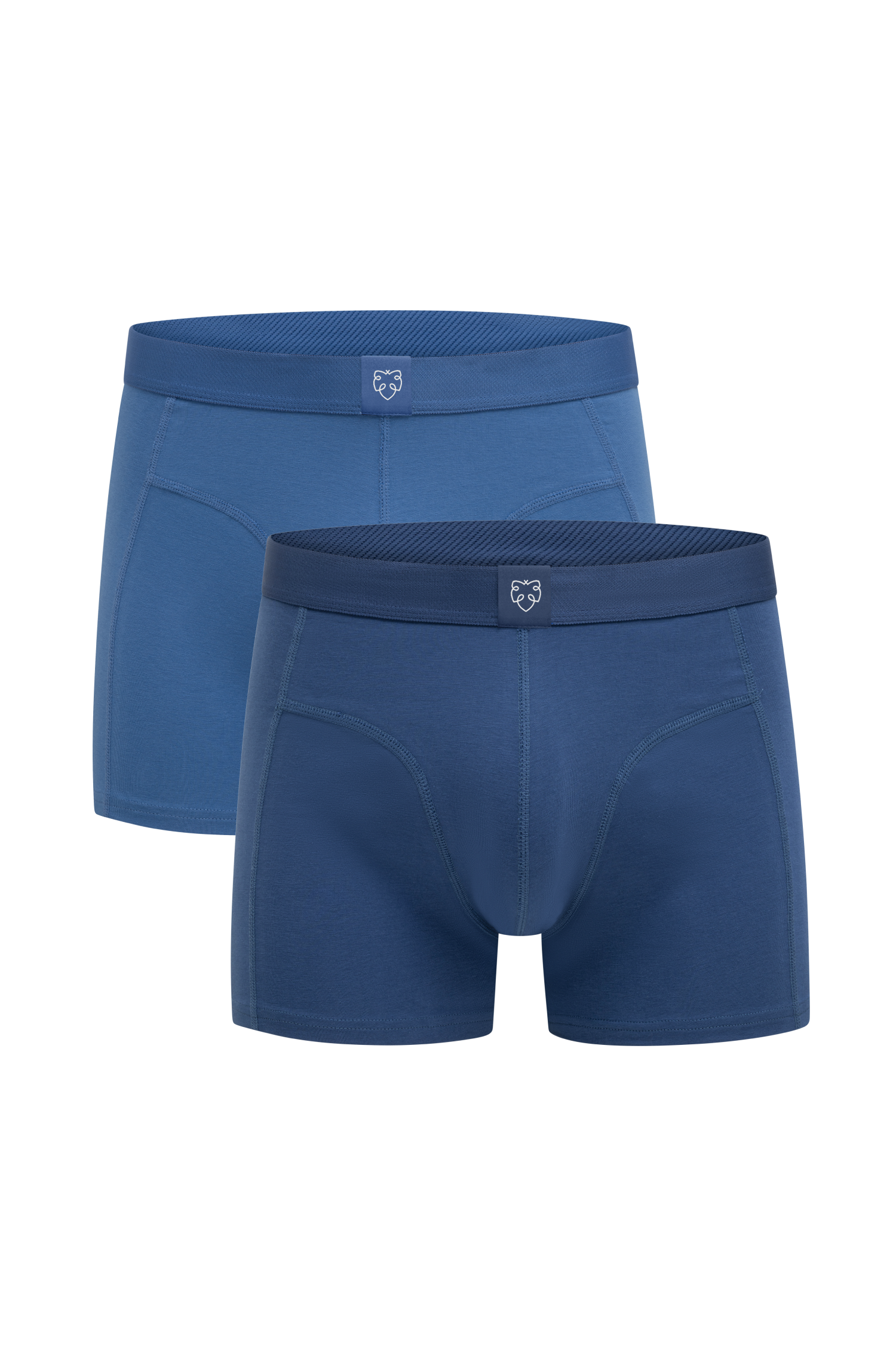 ACE Boxer shorts 2P Blue Slate_Blue Faded Cobalt