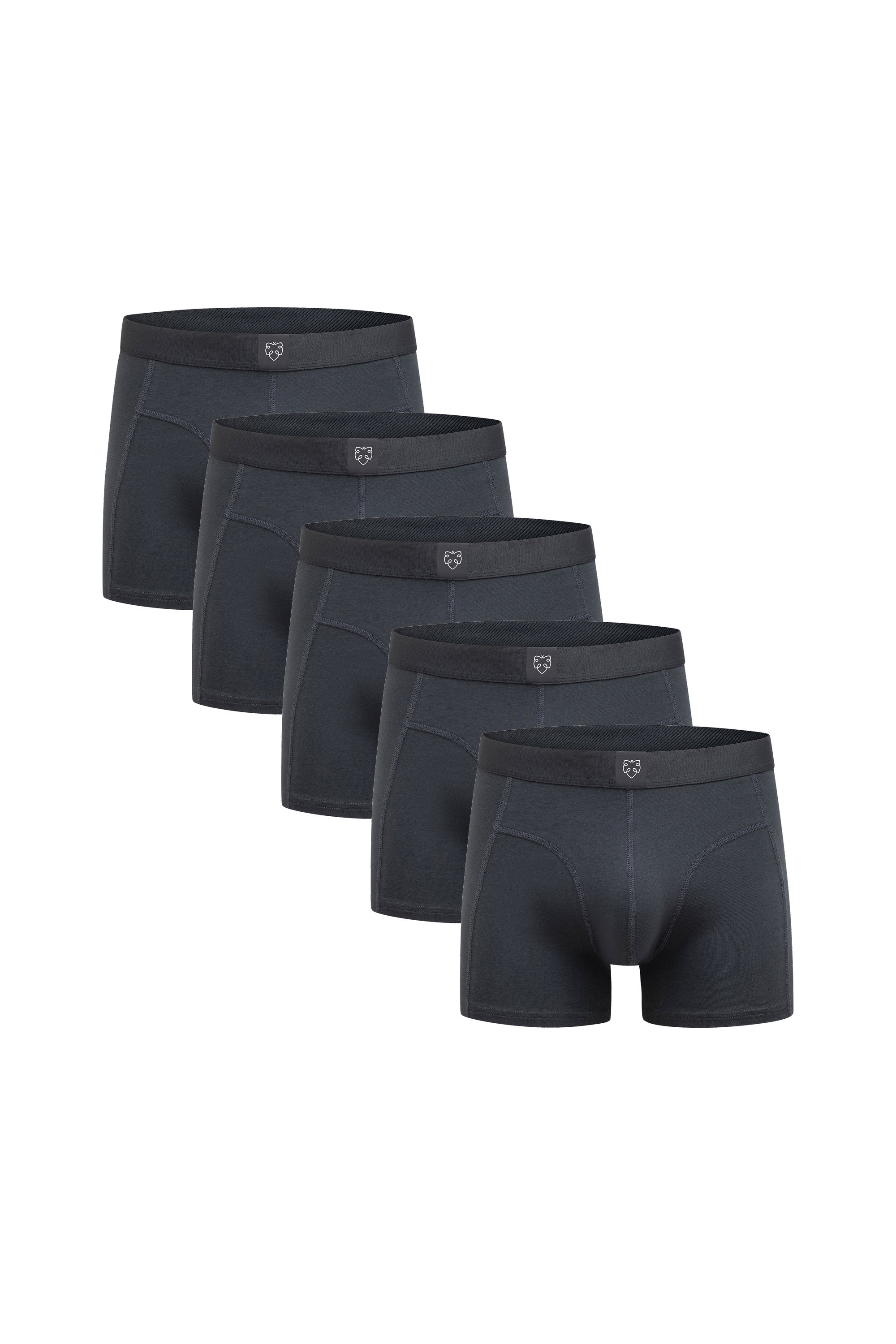 ACE Boxer shorts 5P Black Cove