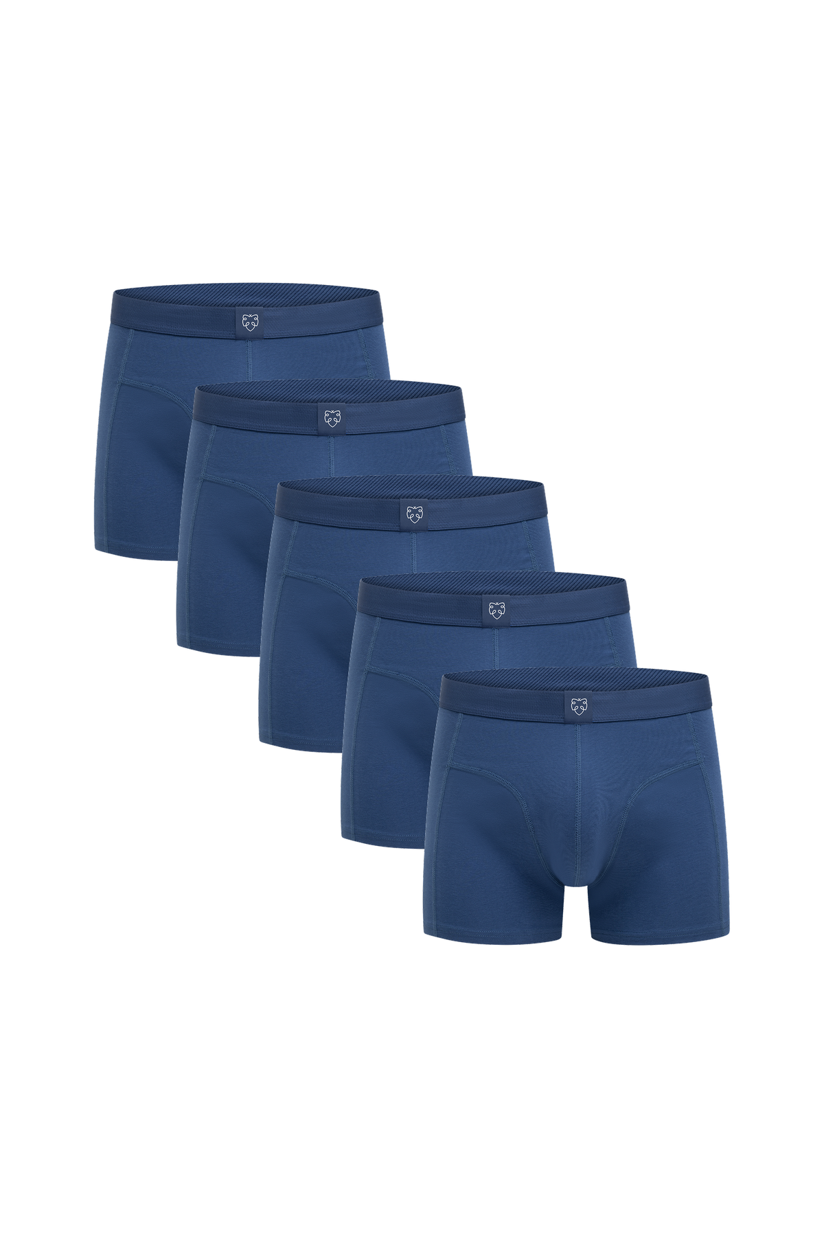 ACE Boxer shorts 5P Blue Slate