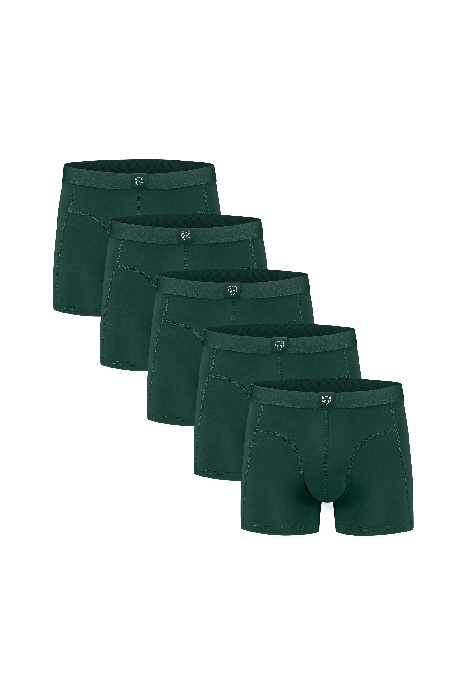 ACE Boxer shorts 5P Green
