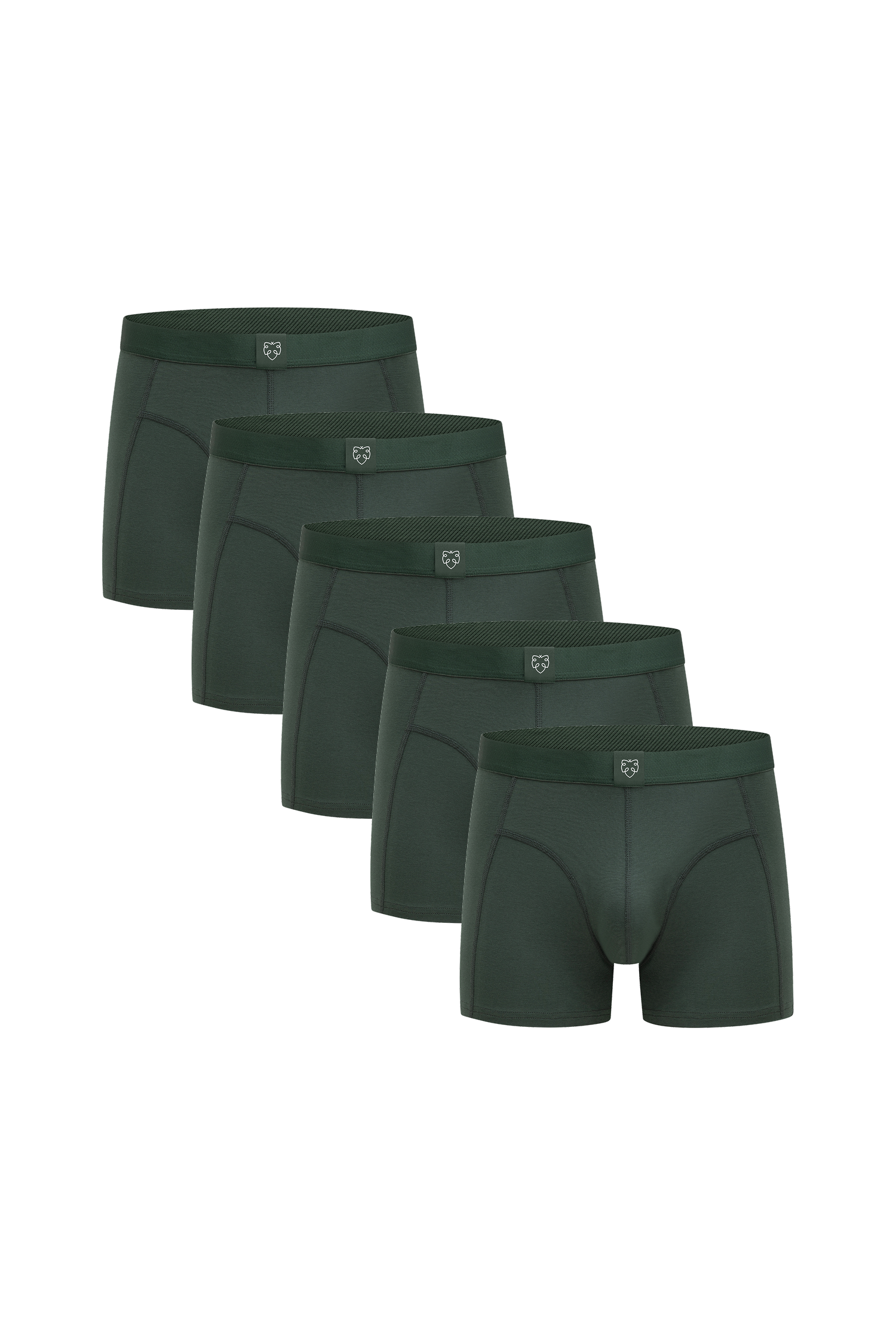 ACE Boxer shorts 5P Green Leaf