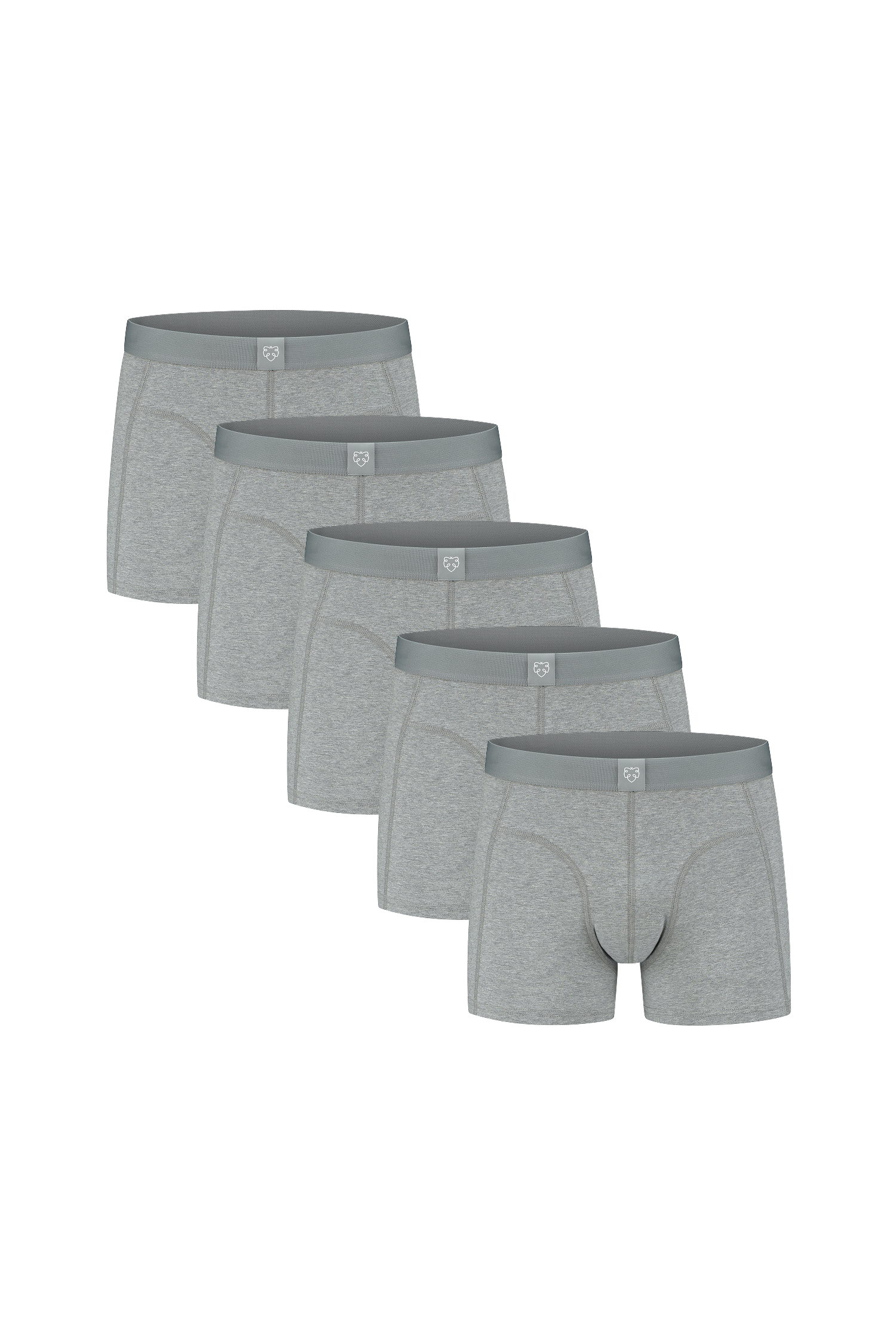 ACE Boxer shorts 5P Grey