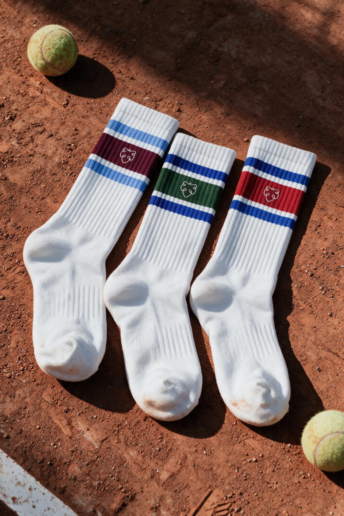 CHAMP crew socks 3P Athletic stripes Giftbox