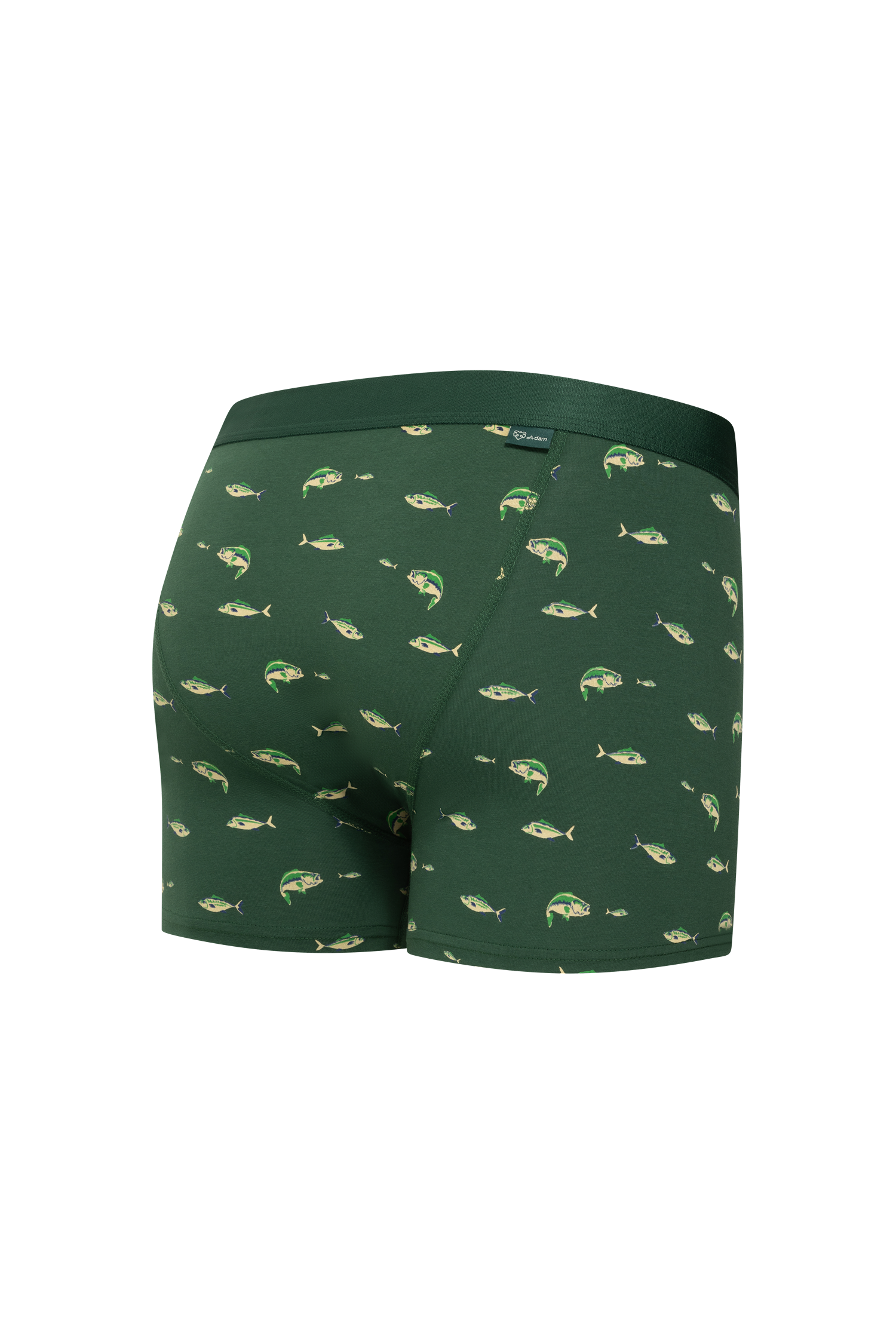 Green Fishing Pond