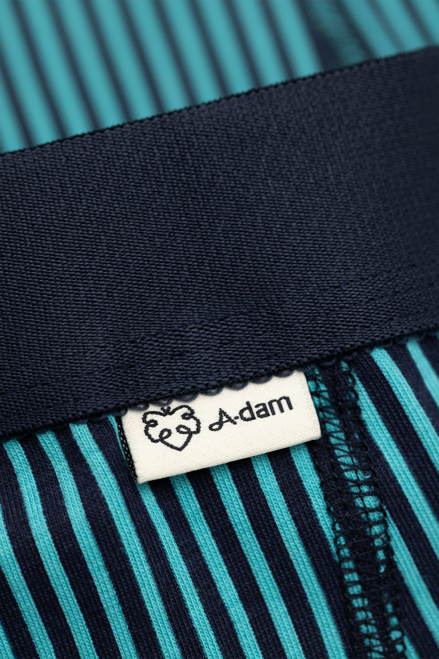 A-dam Palms & Twotone Stripe 2-Pack