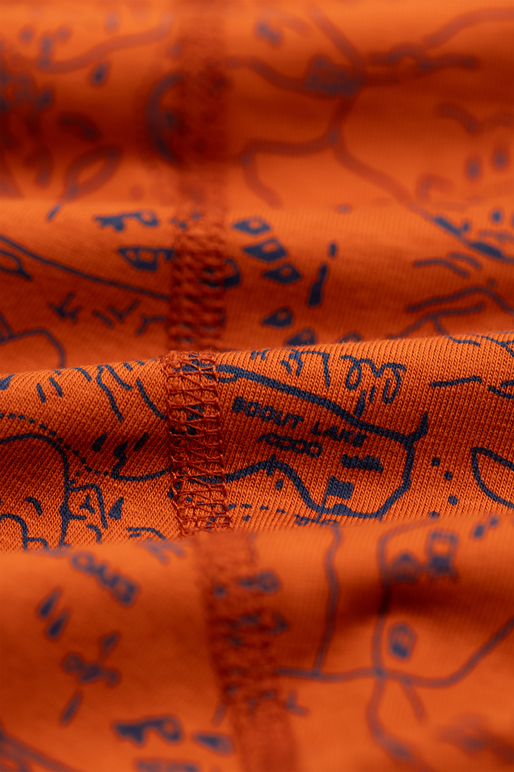 Ginger Scoutmap