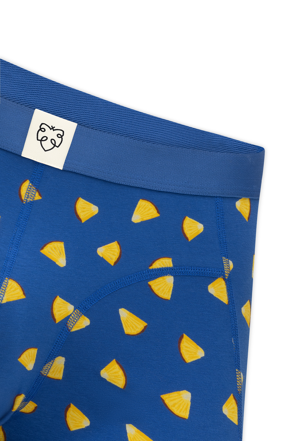 Blue Pineapple Juice Carton Giftbox