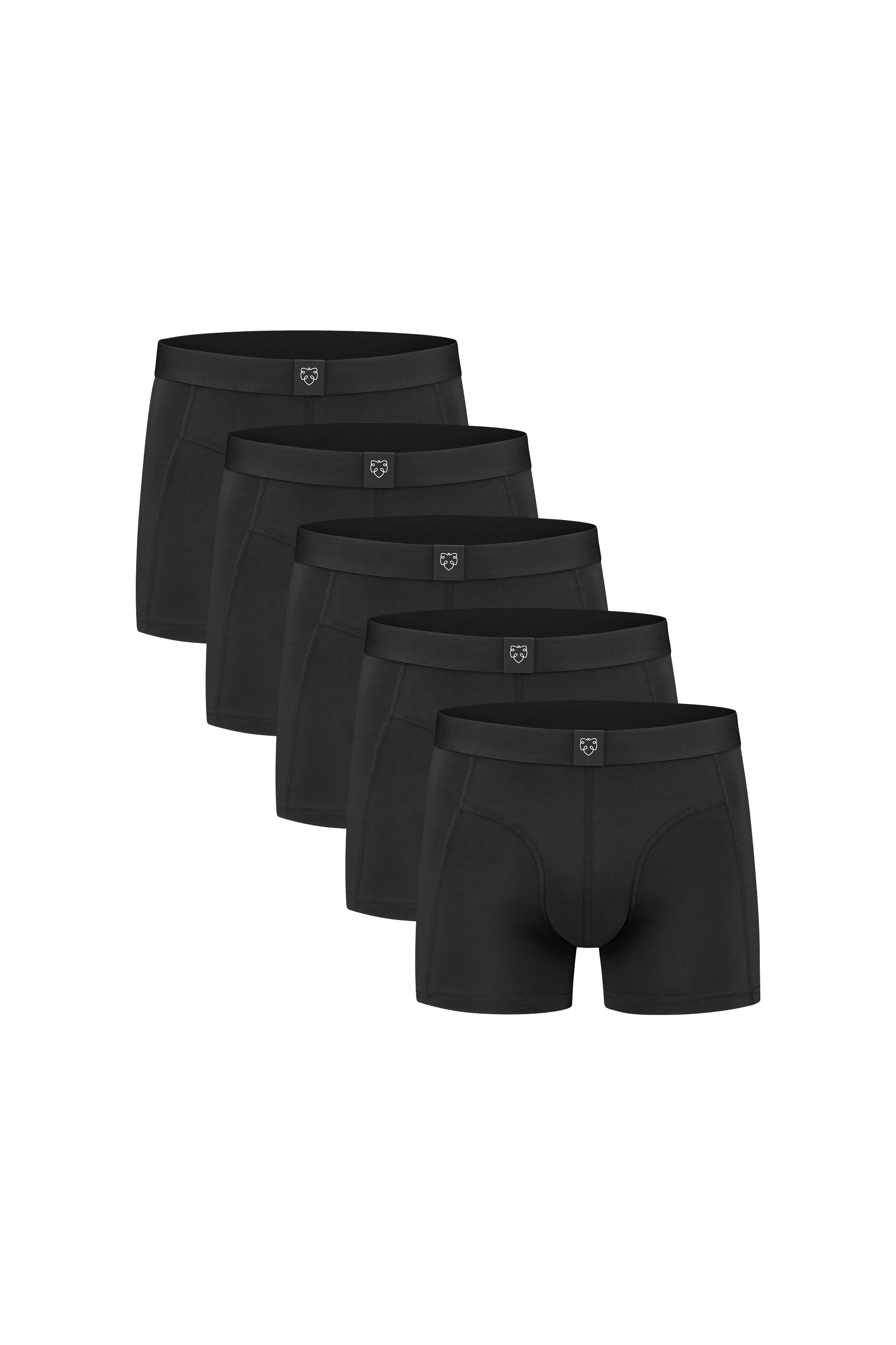Boxer Brief Jelle Black 5P