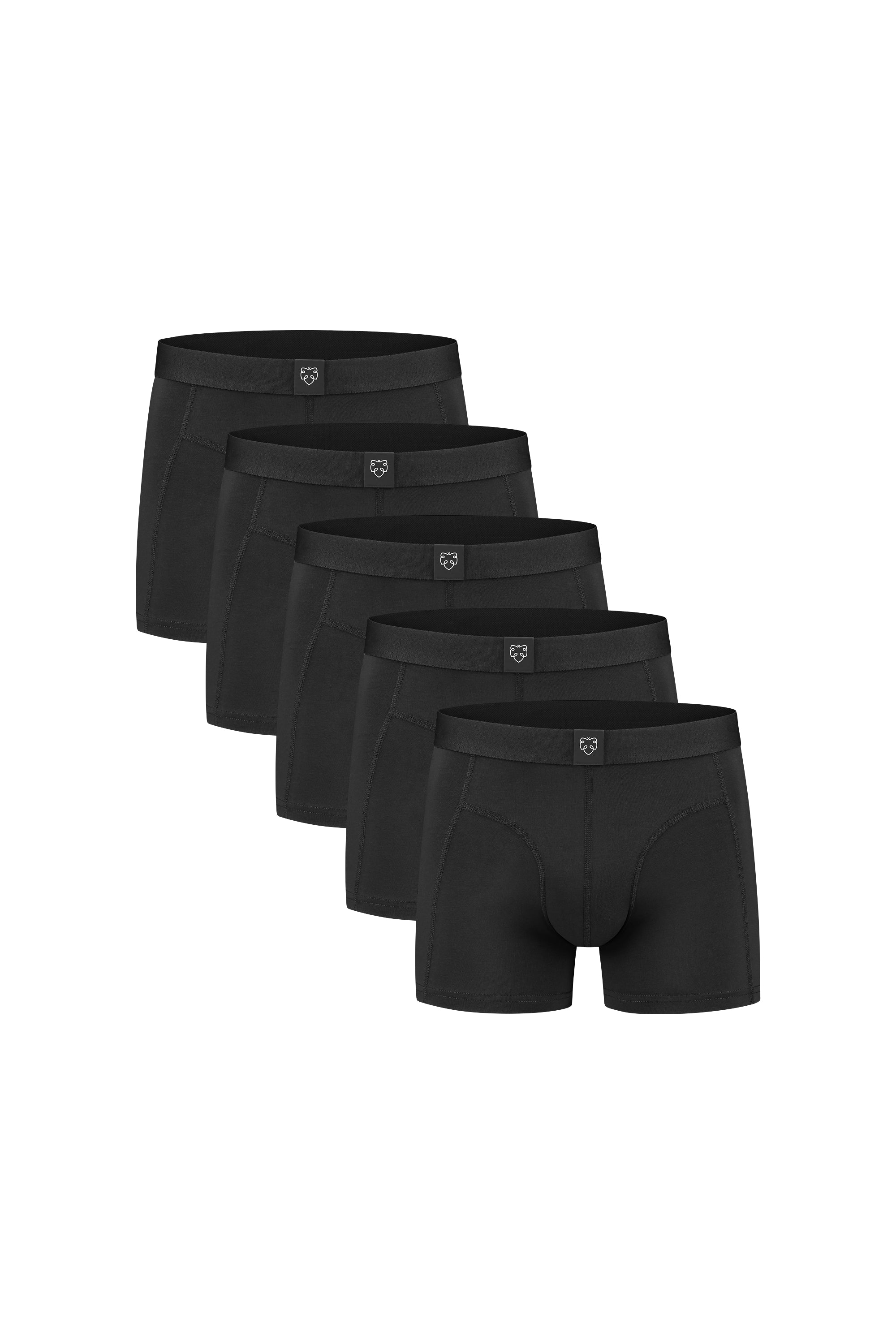 Boxer Brief Jelle Black 5P