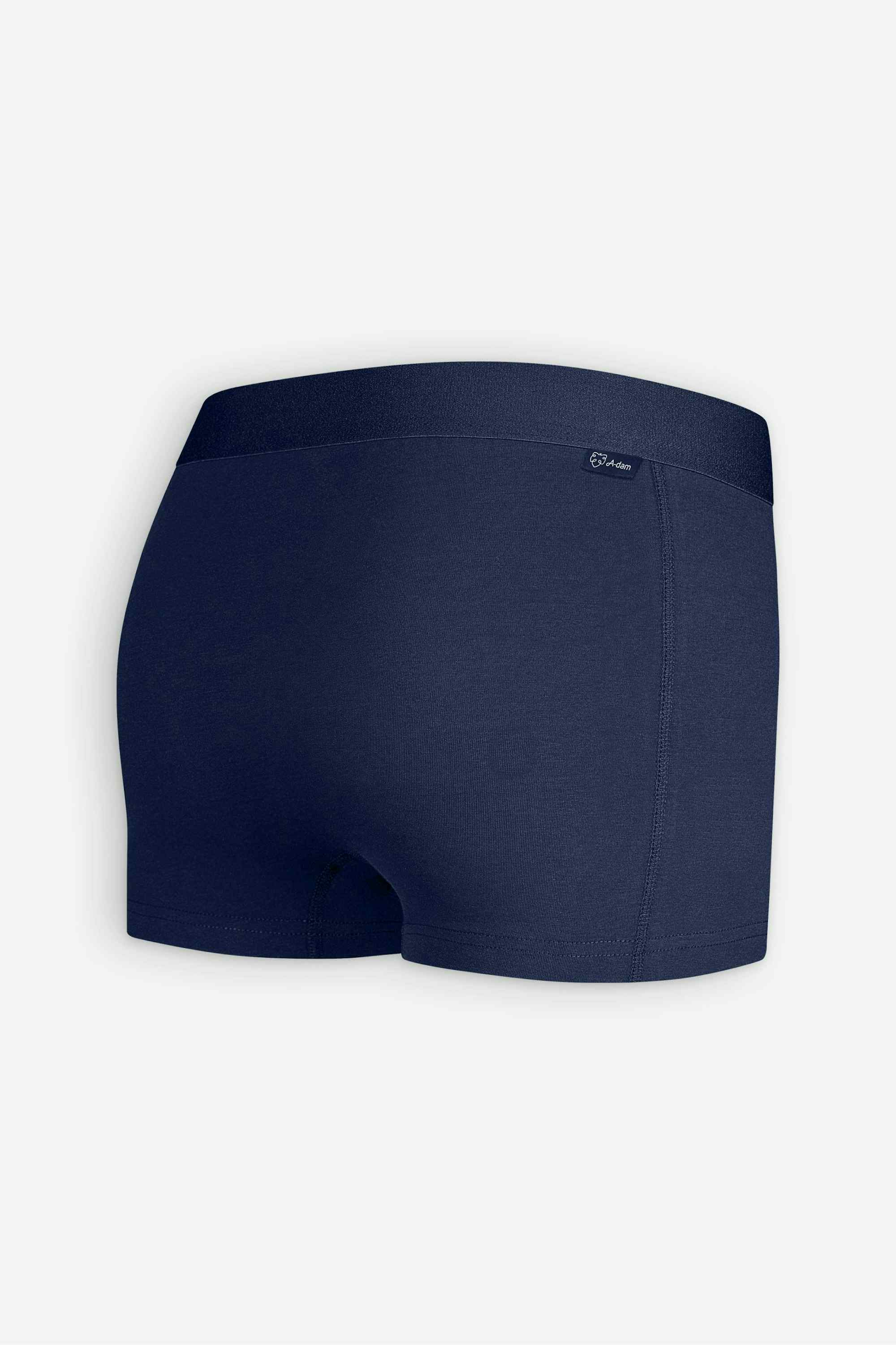 Solid Navy Trunk