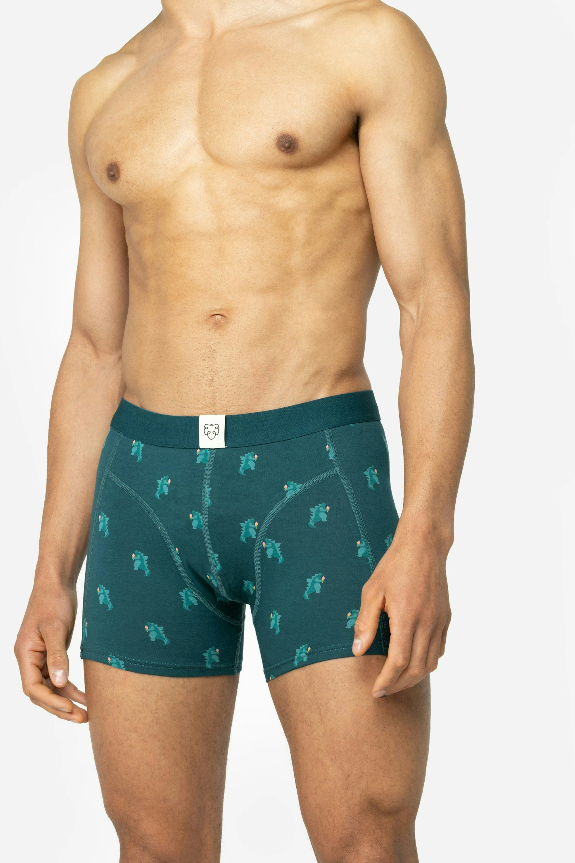 A-dam green boxers briefs with Godzilla from GOTS organic cotton