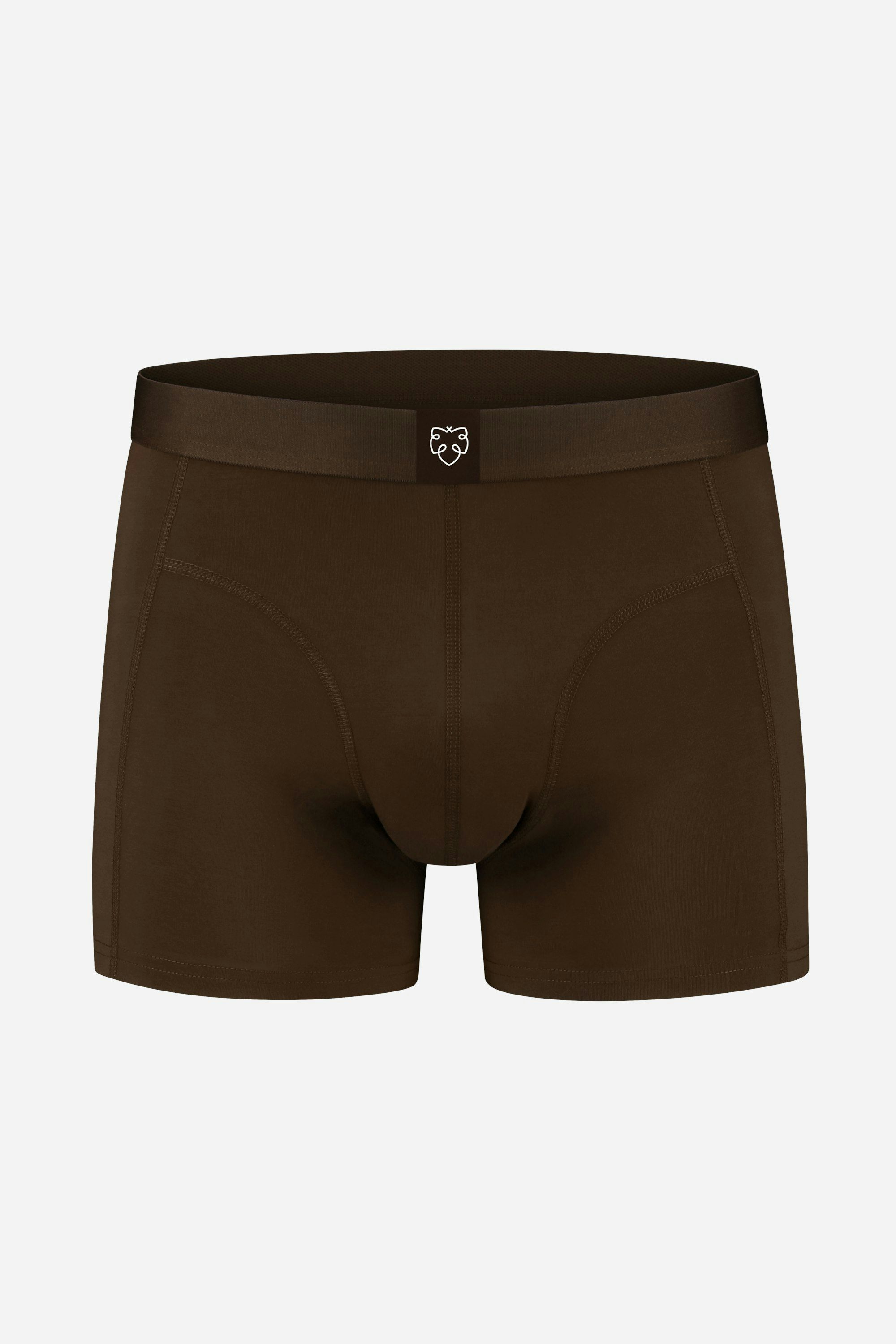 A-dam brown Boxer Brief from organic cotton