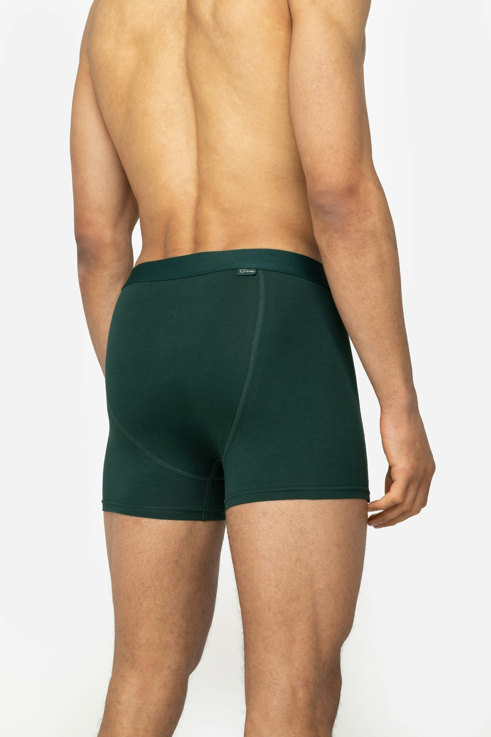 ACE Boxer shorts 5P Green