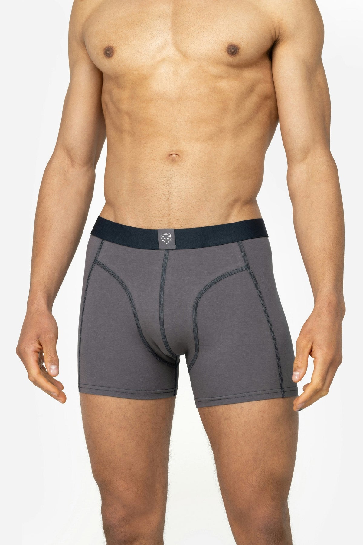 Heren ACE Boxershort 3P Grijs Koert