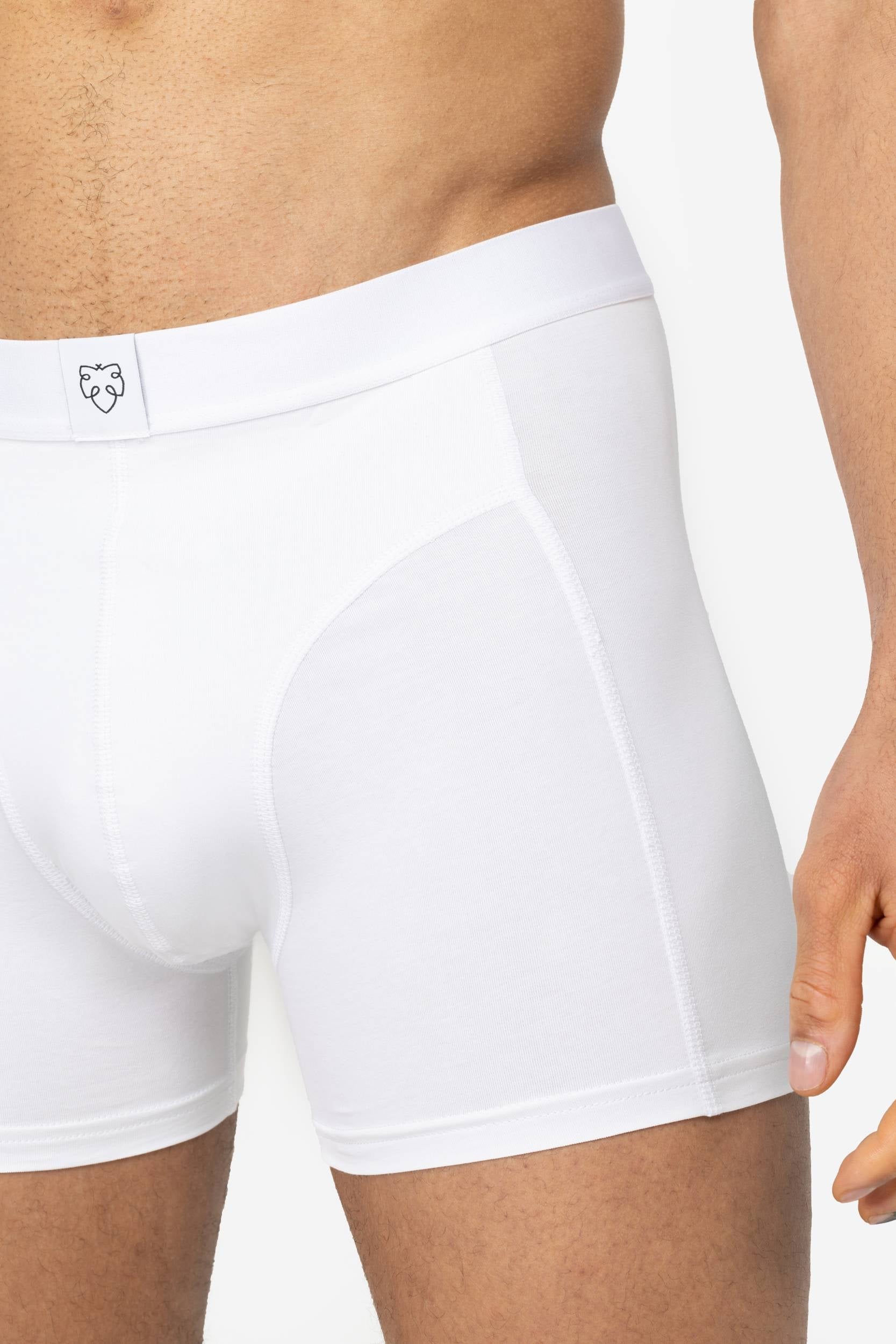 ACE Boxer shorts 5P White
