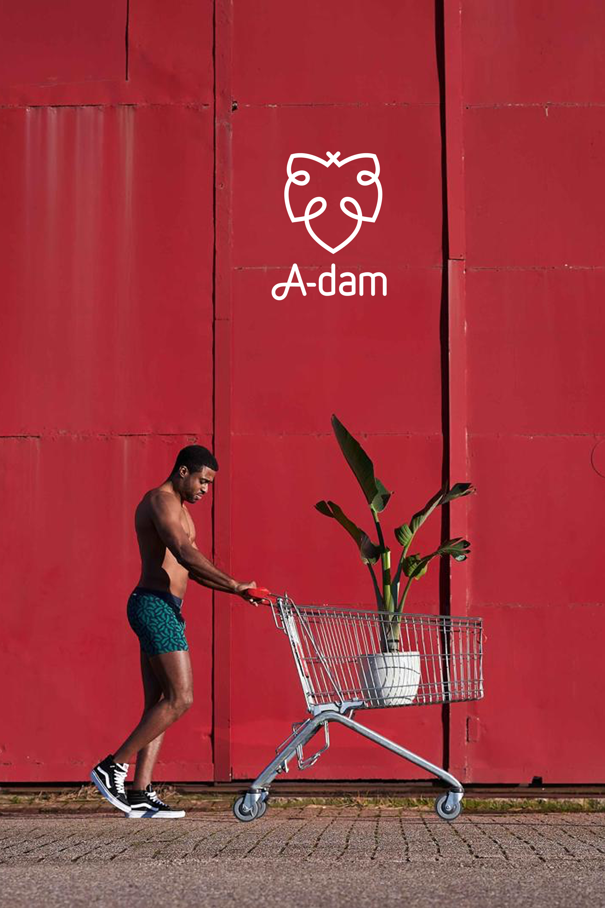 Man pushing a shopping cart with a plant against a red wall with 'A-dam' logo