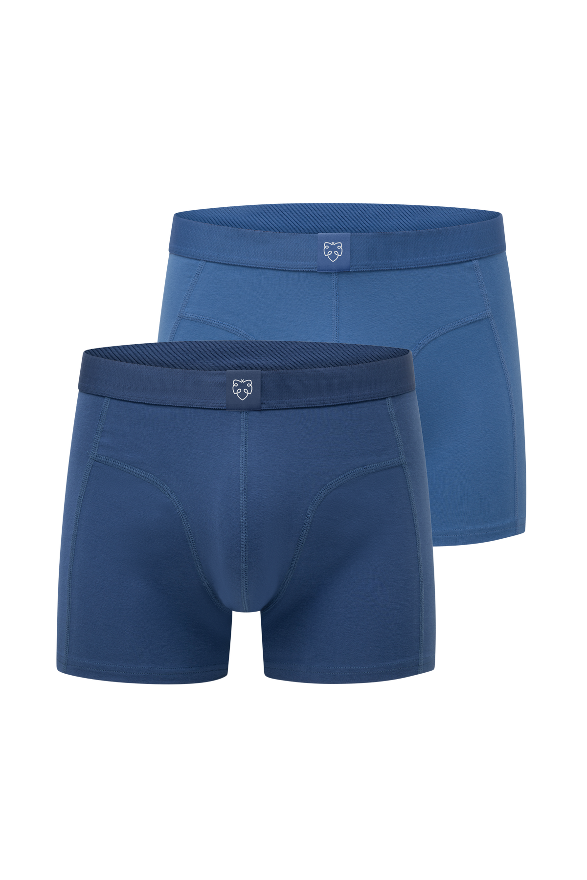 Boxers ACE 2P Blue Slate_Blue Faded Cobalt