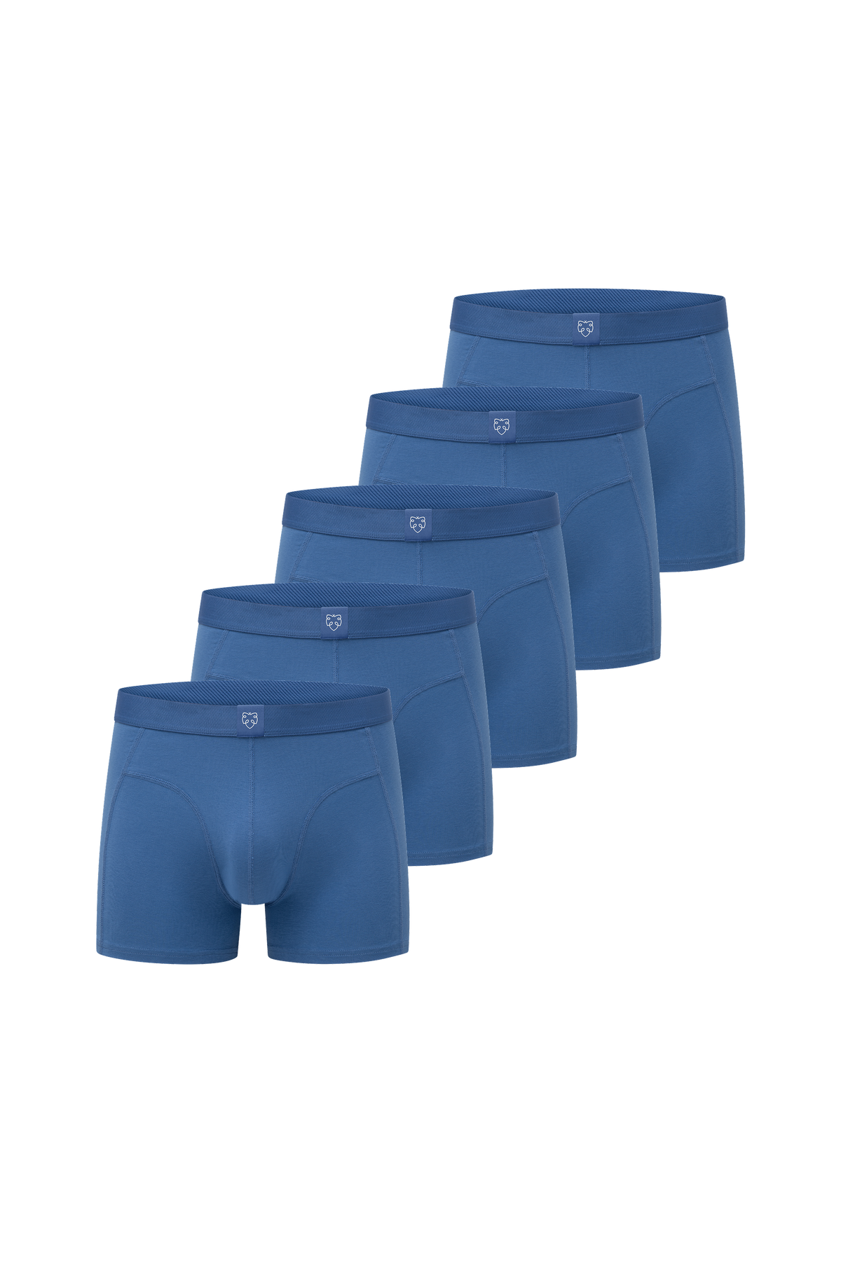 Boxers ACE 5P Blue Faded Cobalt