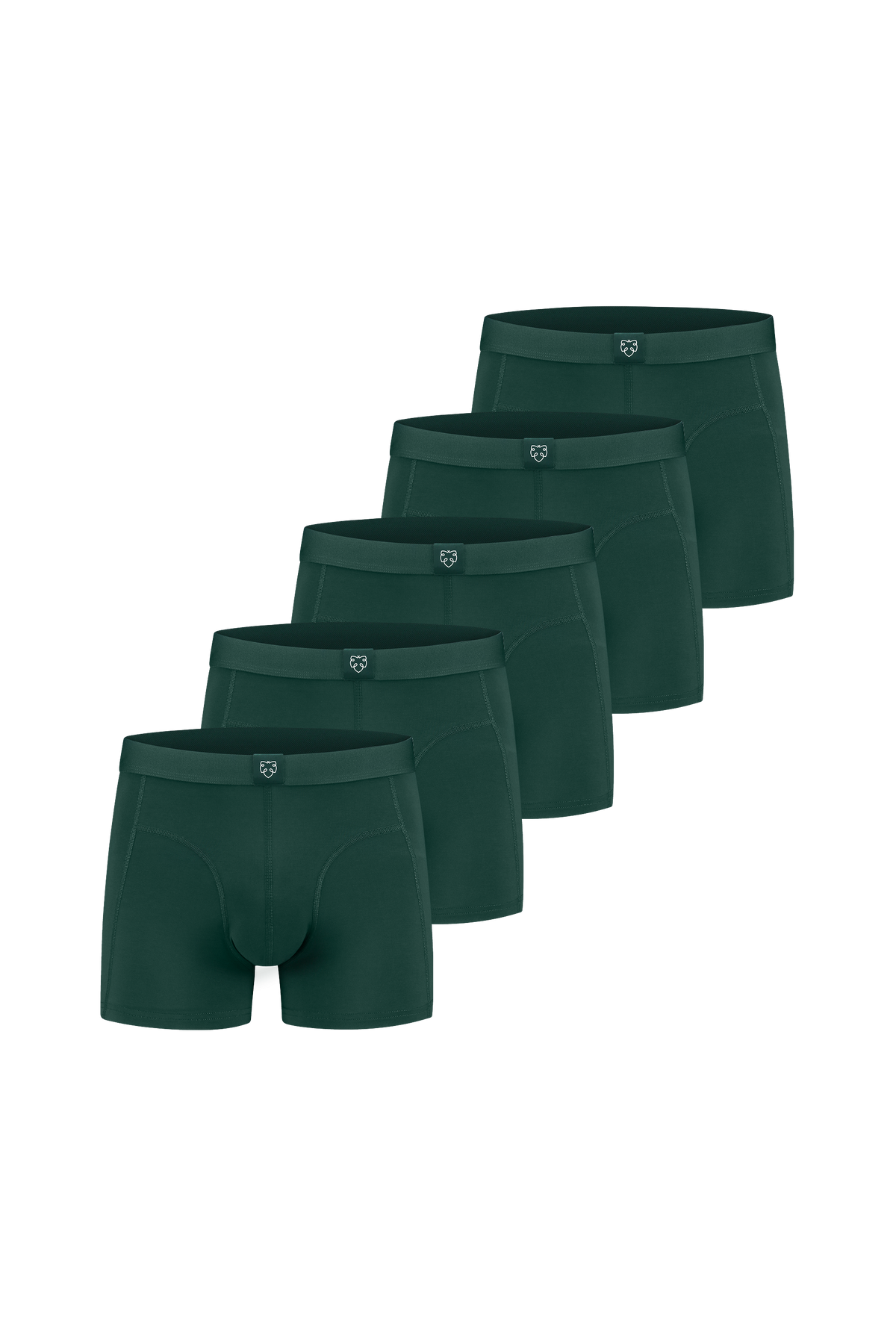 Boxers ACE 5P Vert