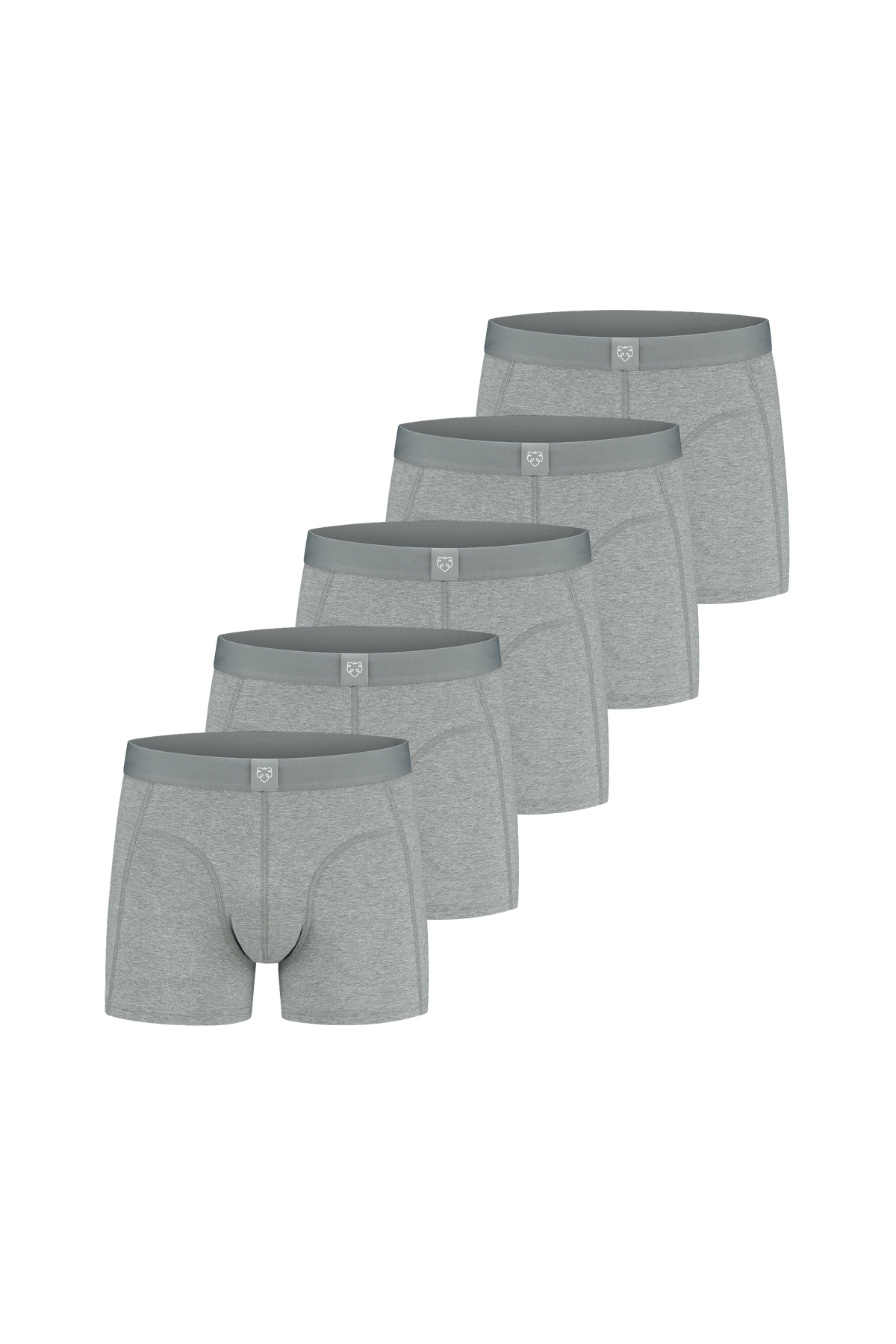 Boxers ACE 5P Gris