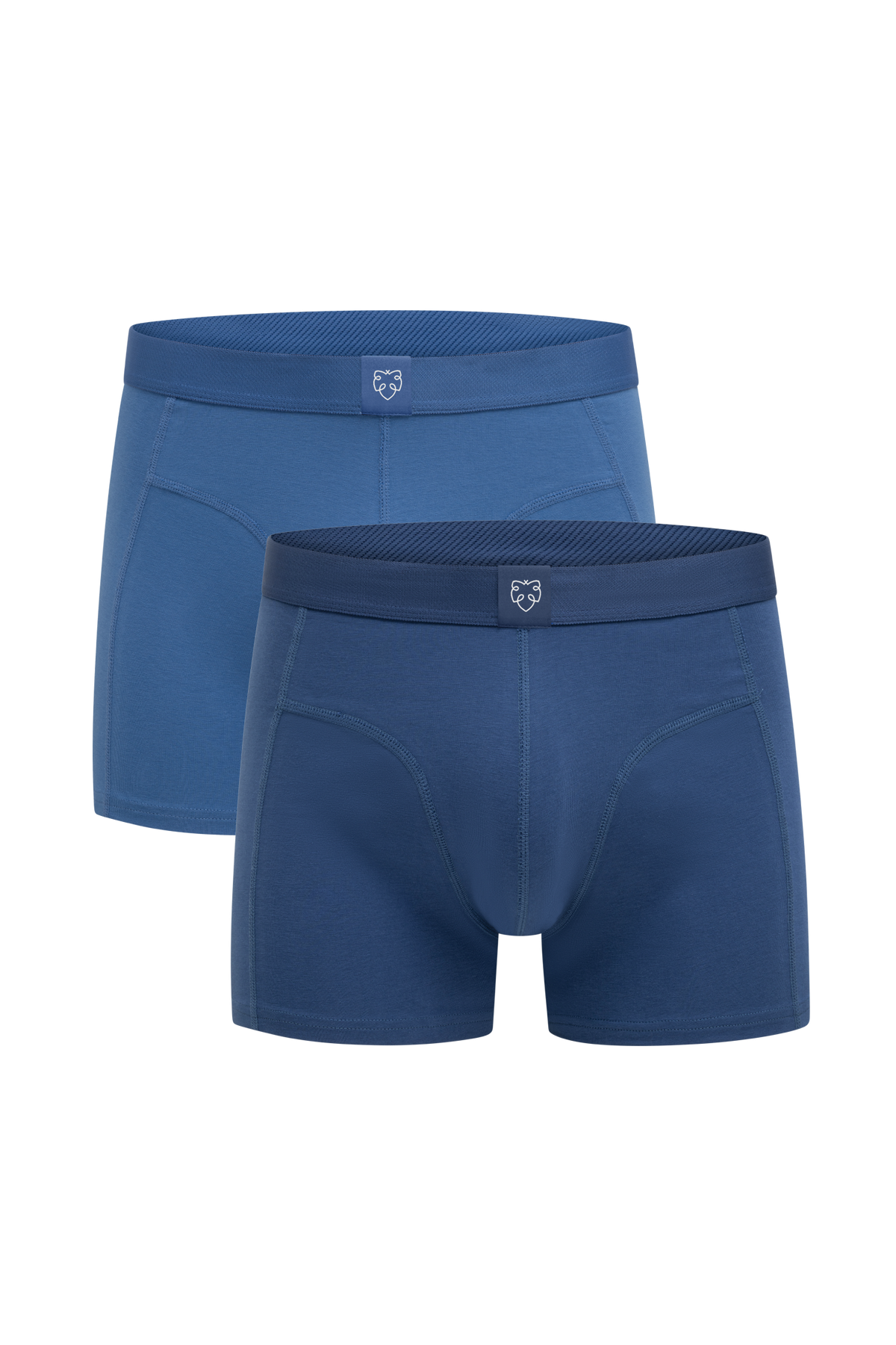 ACE Boxer shorts 2P Blue Slate_Blue Faded Cobalt