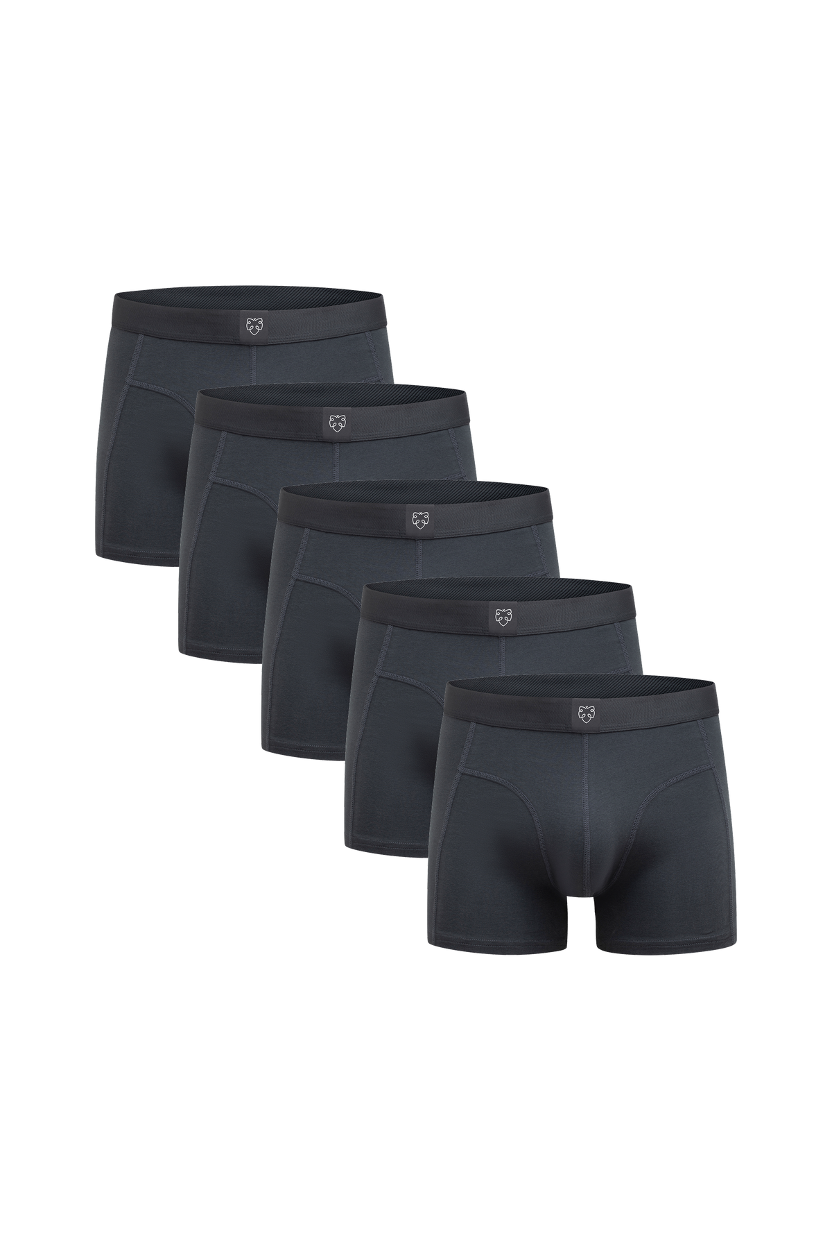 ACE Boxer shorts 5P Black Cove