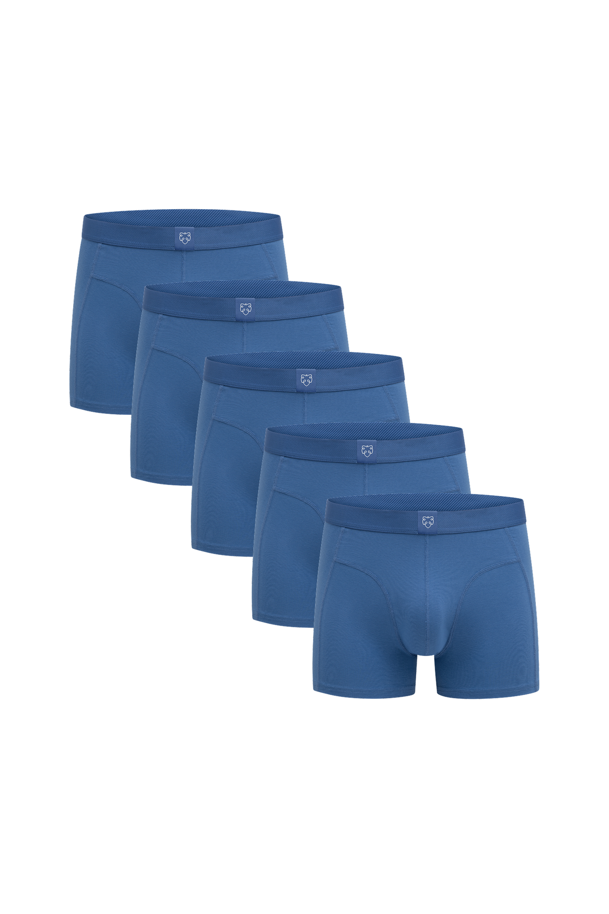 Men ACE Boxer shorts 5P Blue Faded Cobalt