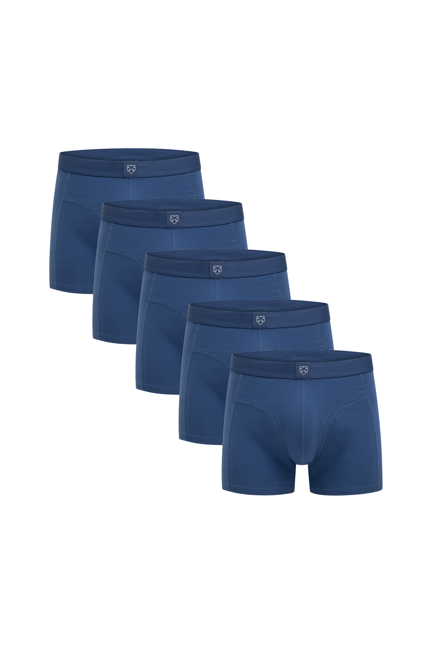 ACE Boxer shorts 5P Blue Slate