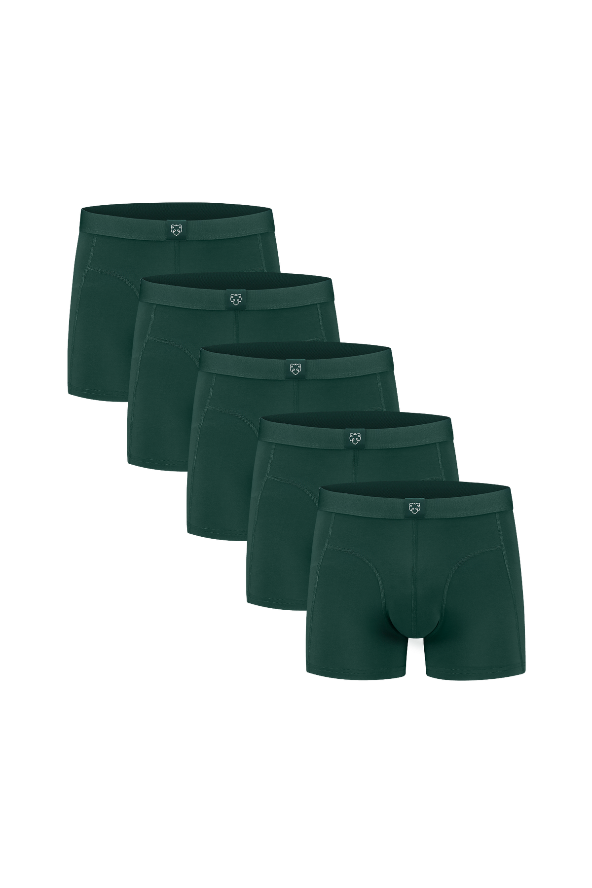ACE Boxer shorts 5P Green
