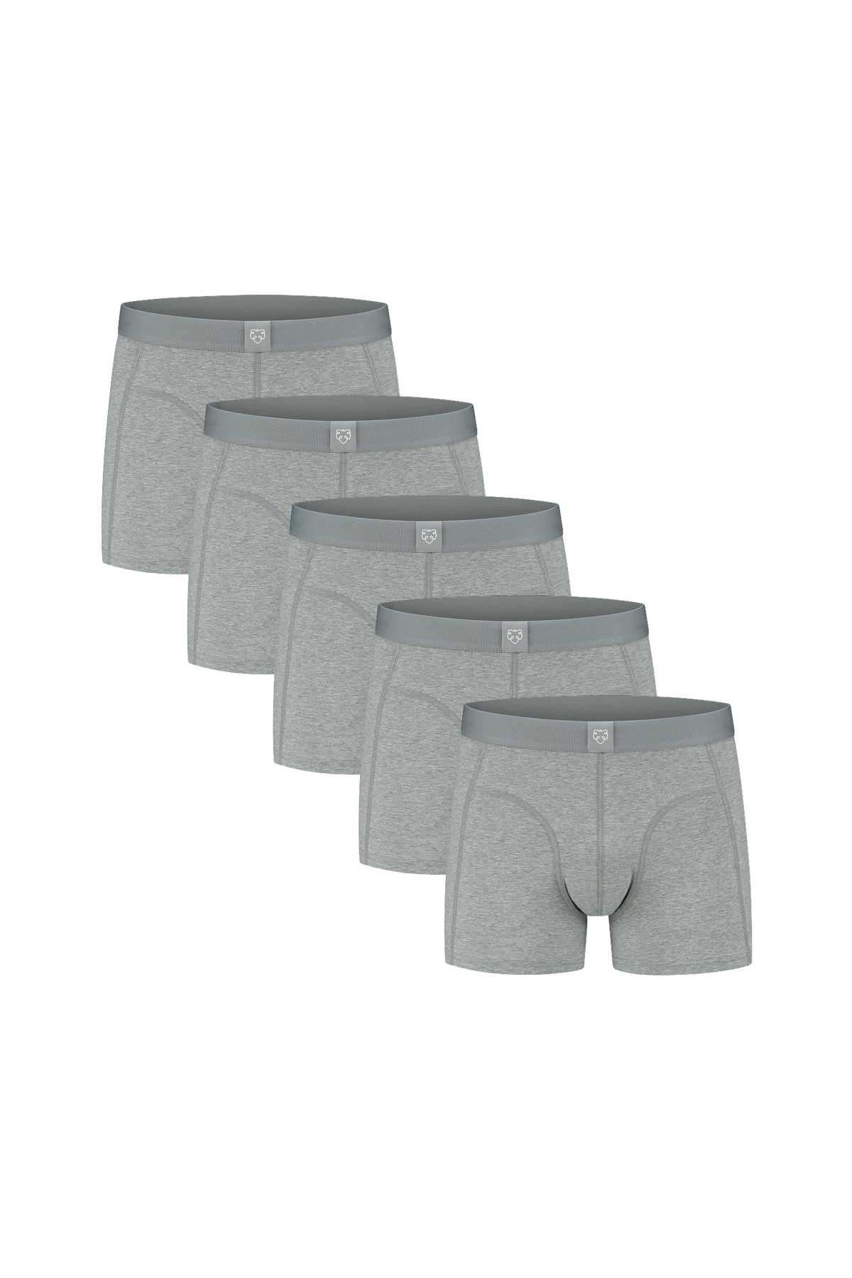 ACE Boxer shorts 5P Grey