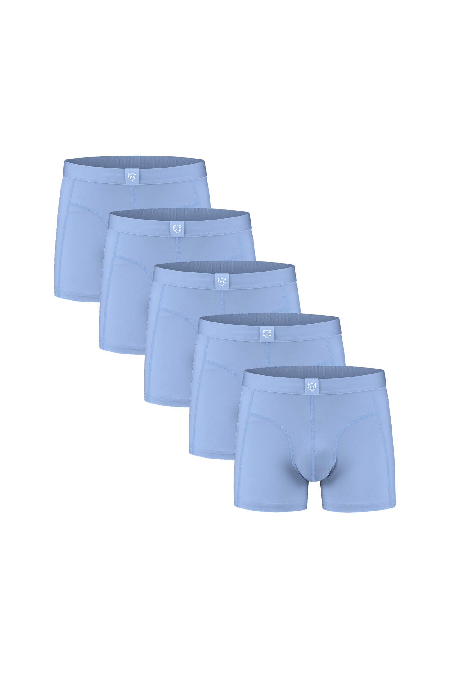 ACE Boxer shorts 5P Light Blue