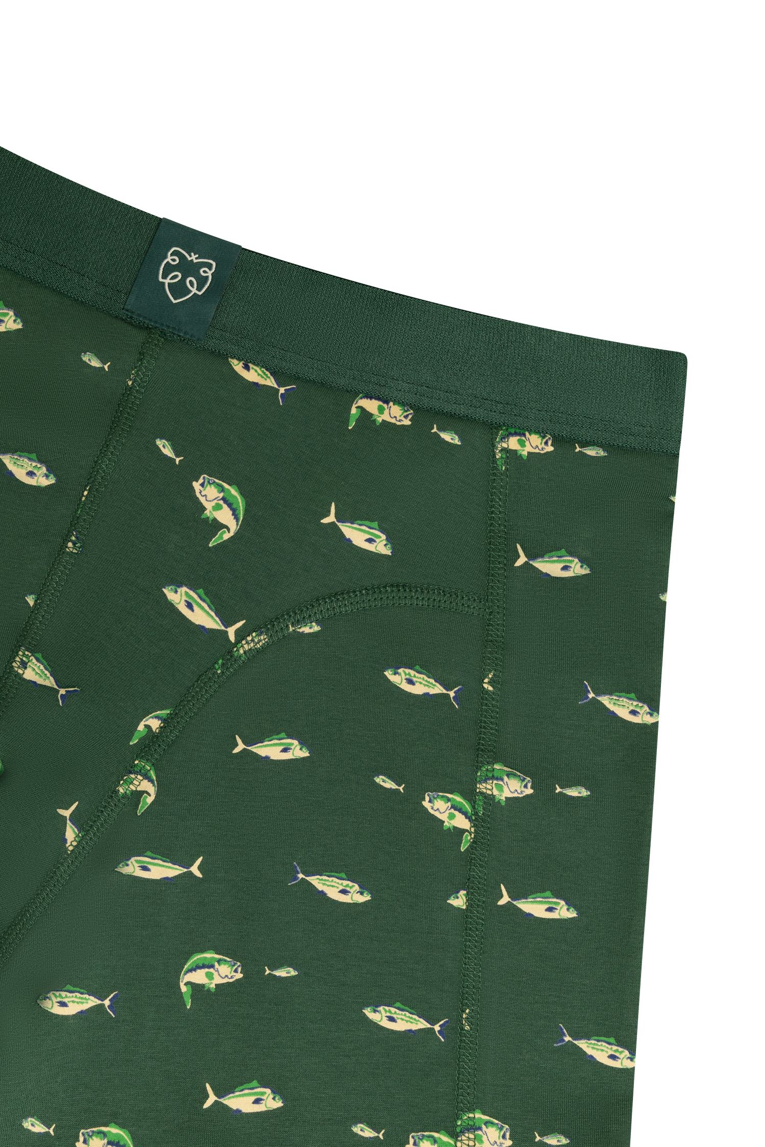 Green Fishing Pond