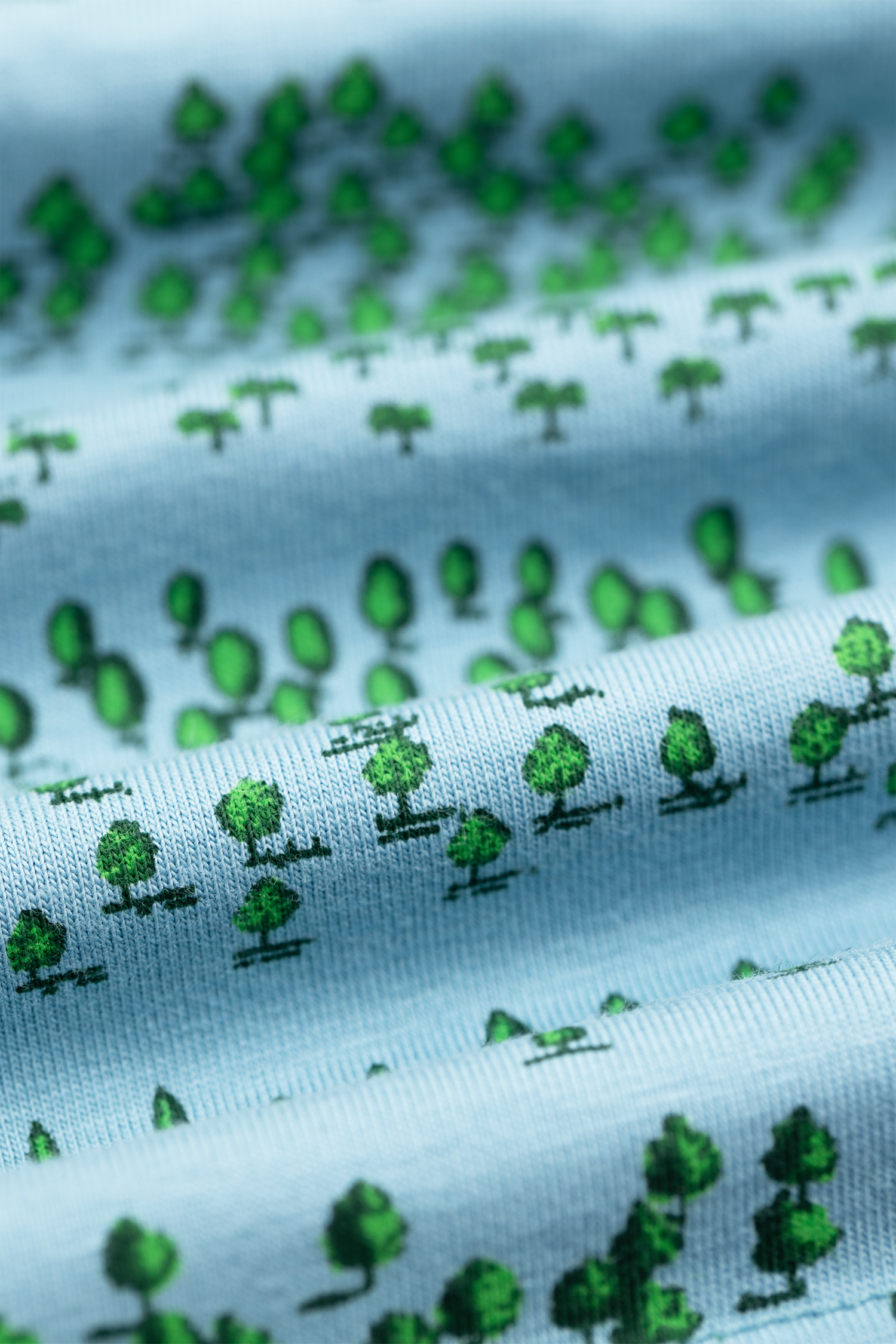 Blue Forest & Black Trouts 2-Pack