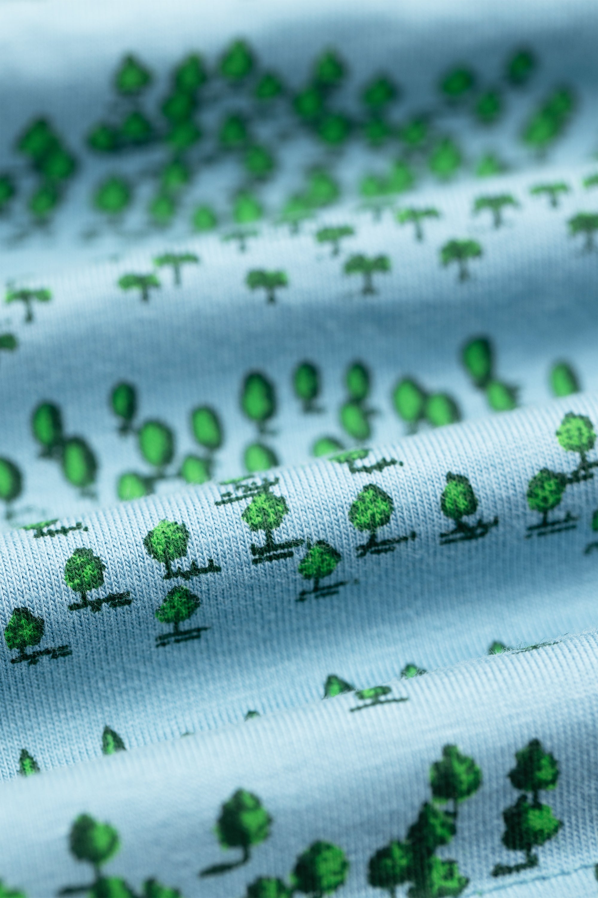 Blue Forest & Black Trouts 2-Pack