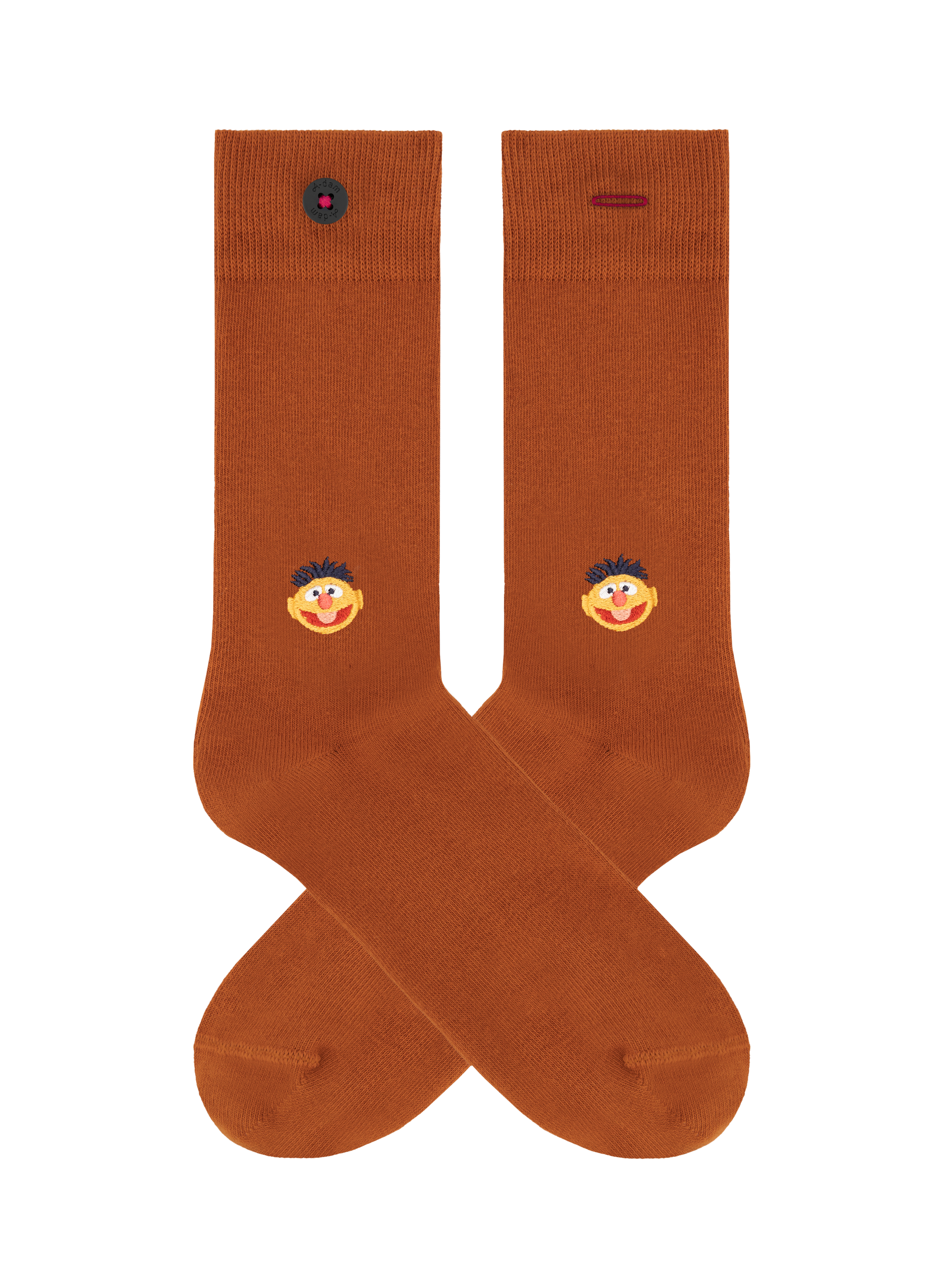 Sesame 2P
