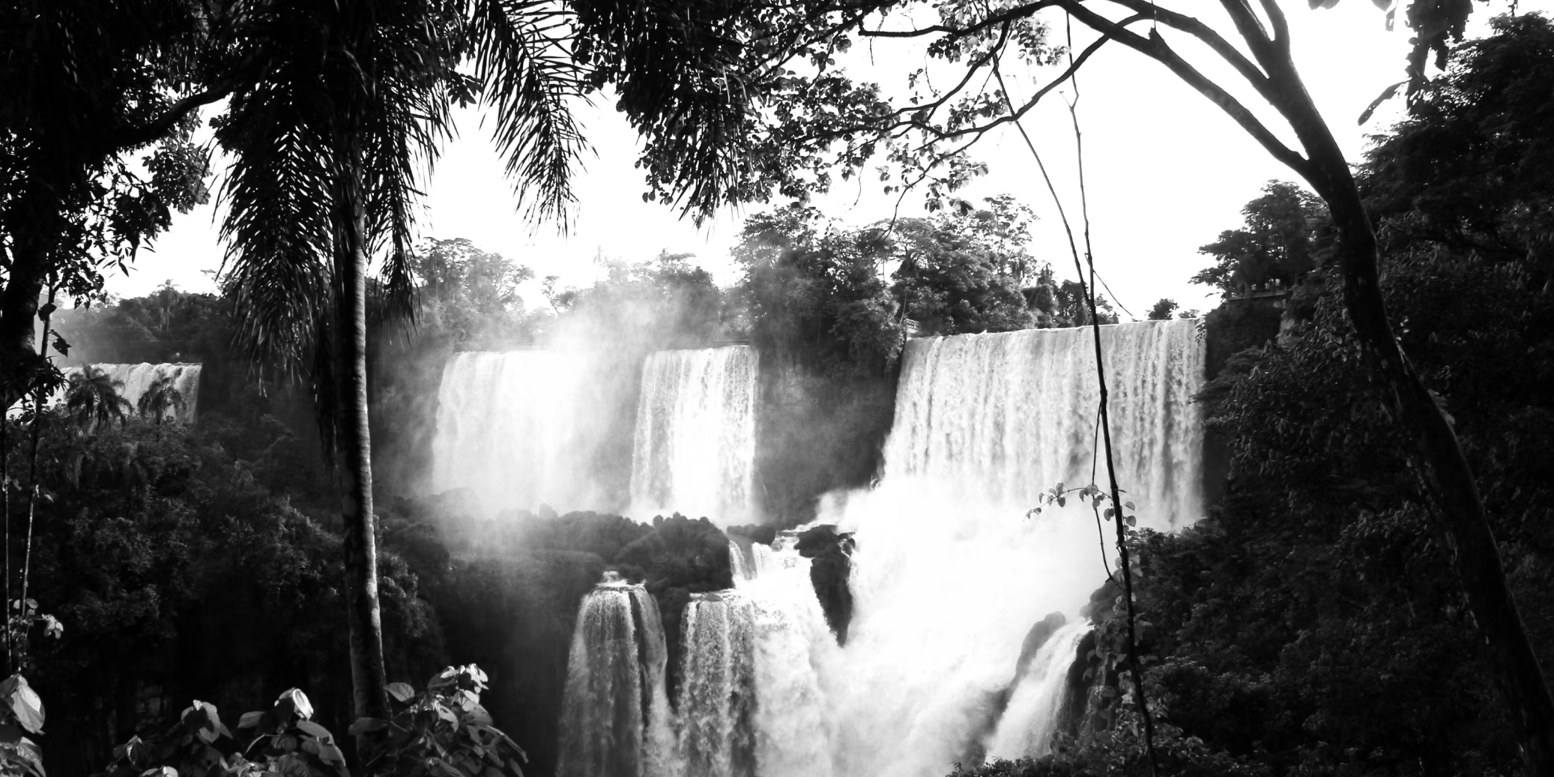 Black and white photo of a waterfall in a jungle